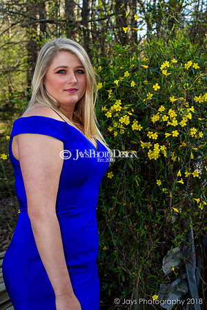 Destiny Houk senior photos 4-4-18_0224