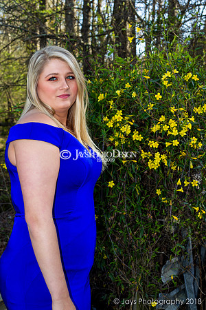 Destiny Houk senior photos 4-4-18_0225