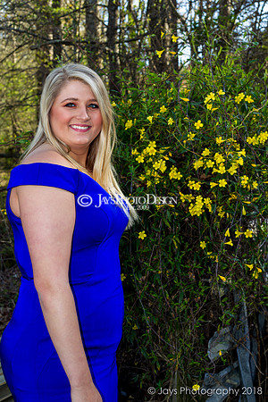 Destiny Houk senior photos 4-4-18_0226