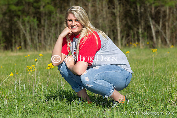 Destiny Houk senior photos 4-4-18_0202