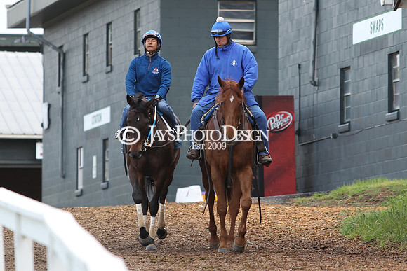 JWM 180414_ArkansasDerby_0038