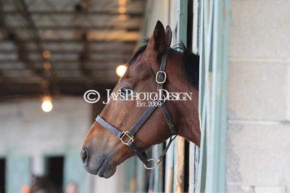 JWM 180414_ArkansasDerby_0041