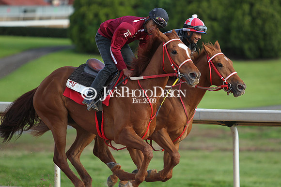 JWM 180414_ArkansasDerby_0144