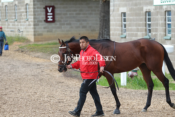 JWM 180414_ArkansasDerby_1003