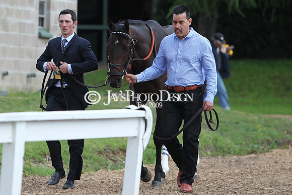 JWM 180414_ArkansasDerby_1045