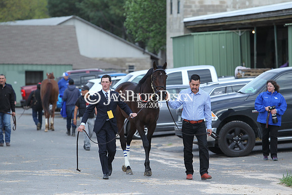 JWM 180414_ArkansasDerby_1078