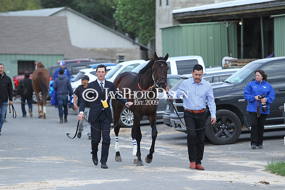 JWM 180414_ArkansasDerby_1082