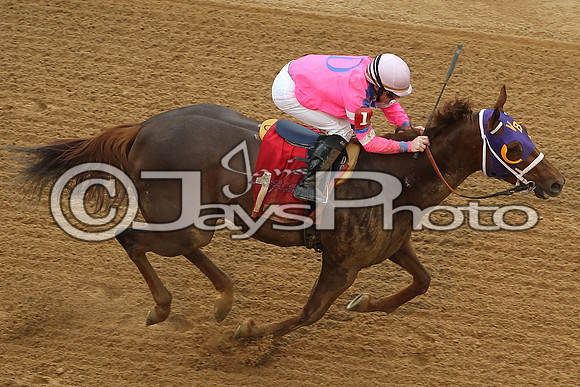 Southwest Stakes (GradeIII) 2-20-17_JWM00082