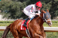 Oaklawn (Opening Day 1-11-13)