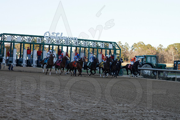 Oaklawn 1-21-13 (Smarty Jones Stakes) (Justin Manning)0206