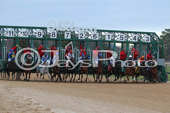 Oaklawn Smarty Jones Stakes 1-18-2016 (©Justin Manning) JWM_(0386