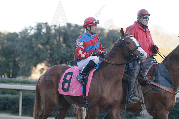 Oaklawn 1-21-13 (Smarty Jones Stakes) (Justin Manning)0178
