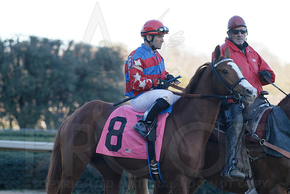 Oaklawn 1-21-13 (Smarty Jones Stakes) (Justin Manning)0181