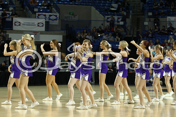 Riverview vs. Ozark 4A Girls State Finals 3-13-2015 (©Justin Manning) JWM_413