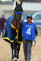 Oaklawn Smarty Jones Stakes 1-18-2016 (©Justin Manning) JWM_(0061