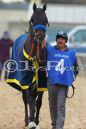 Oaklawn Smarty Jones Stakes 1-18-2016 (©Justin Manning) JWM_(0061