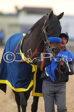 Oaklawn Smarty Jones Stakes 1-18-2016 (©Justin Manning) JWM_(0064