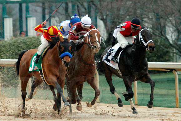 Rebel Stakes 3-15-14 3-15-2014 (© Justin Manning) JWM_0229-2