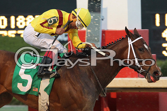 JWM_160312-honeybee_JWM_320-2