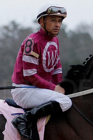 The 54th running of the Razorback Handicap 3-9-13 JWM0195 (©Justin Manning)