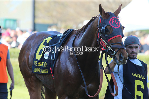 z220319_WhitmoreStakesday_Manning_0588