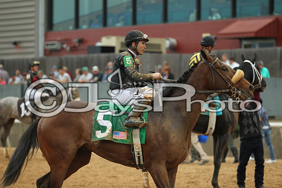 Southwest Stakes (GradeIII) 2-20-17_JWM00966