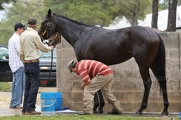 Arkansas Derby 4-11-2014 (© Justin Manning) JWM_0151