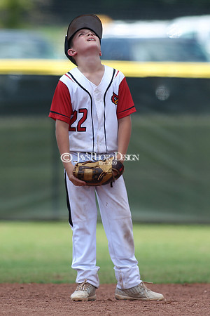 Pine Bluff Rough Riders vs. Harmony Grove Cardinals 9U 5-27-18 (Wally Hall Tournment of Champions)_0215