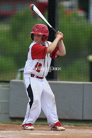 Pine Bluff Rough Riders vs. Harmony Grove Cardinals 9U 5-27-18 (Wally Hall Tournment of Champions)_0247