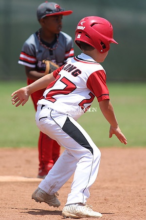 Pine Bluff Rough Riders vs. Harmony Grove Cardinals 9U 5-27-18 (Wally Hall Tournment of Champions)_0037