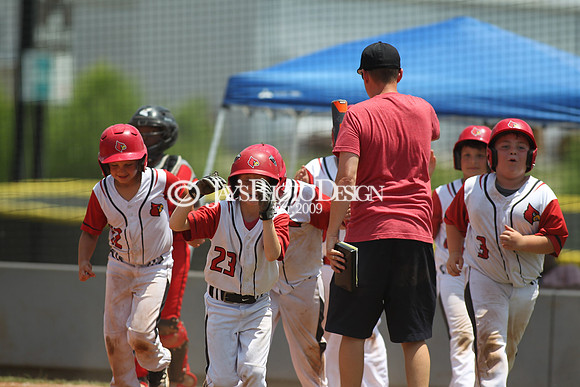 Pine Bluff Rough Riders vs. Harmony Grove Cardinals 9U 5-27-18 (Wally Hall Tournment of Champions)_0121