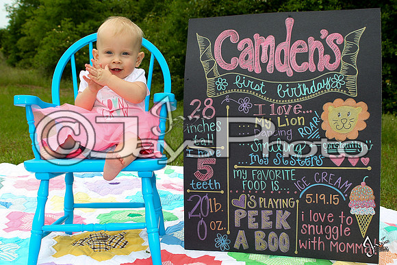 Camden's 1st Birthday pictures_0327