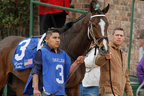 Fantasy Stakes 4-5-2014 (© Justin Manning) JWM_0453