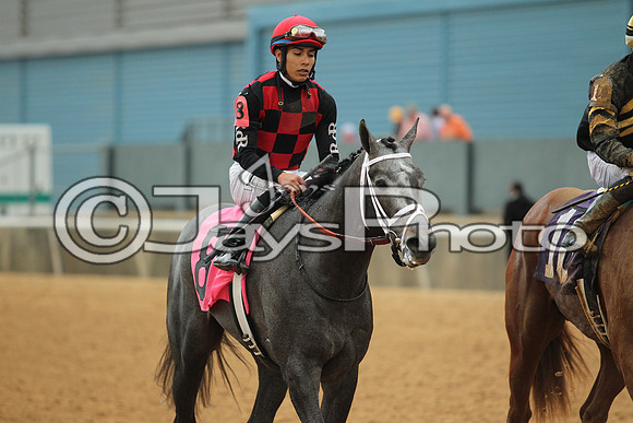 Southwest Stakes (GradeIII) 2-20-17_JWM00953