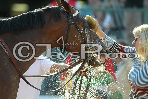 JWM_170318_EssexStakes_00446