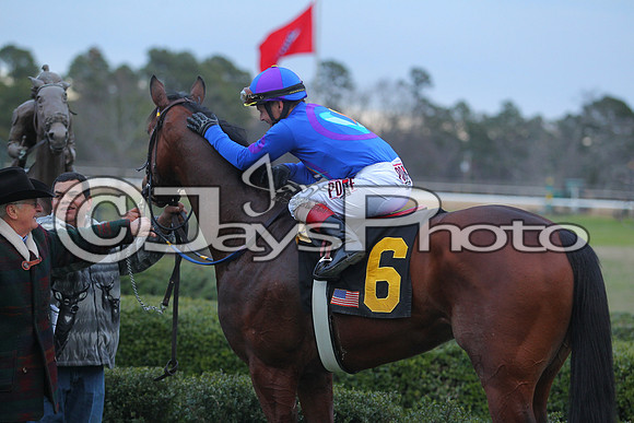 Oaklawn Smarty Jones Stakes 1-18-2016 (©Justin Manning) JWM_(0590