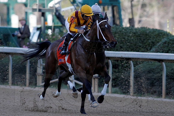 Azeri Stakes 3-16-13 (© Justin Manning) JWM0200