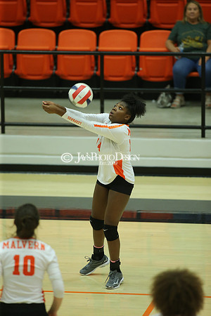 Camden Fairview @ Malvern JV_JWM_0237