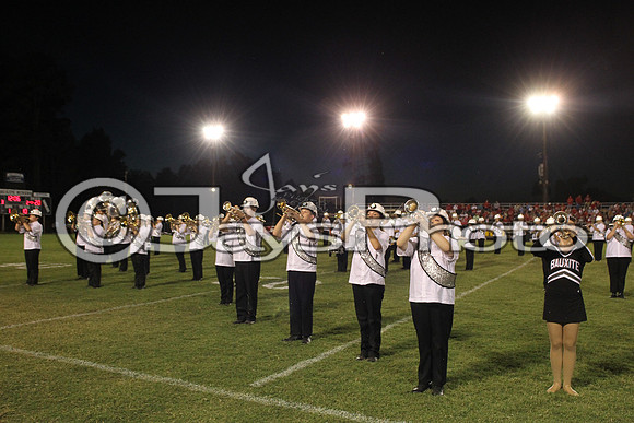 Glen Rose @ Bauxite 9-11-2015 (©Justin Manning) JWM_0506