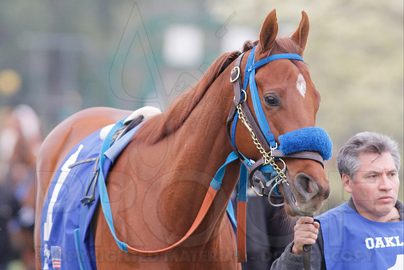 Fantasy Stakes 4-5-2014 (© Justin Manning) JWM_0515