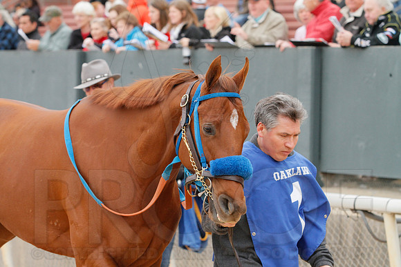 Fantasy Stakes 4-5-2014 (© Justin Manning) JWM_0409