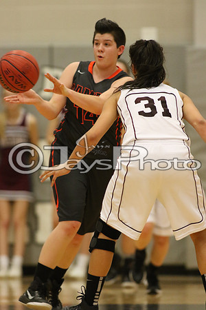 Lamar vs. Perryville Girls 3A State 3-6-2015 (©Justin Manning) JWM_148