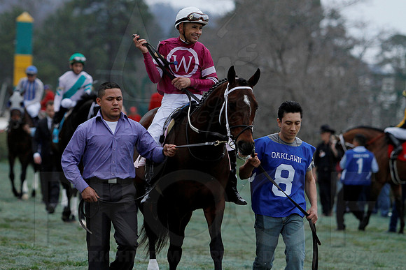 The 54th running of the Razorback Handicap 3-9-13 JWM0130 (©Justin Manning)