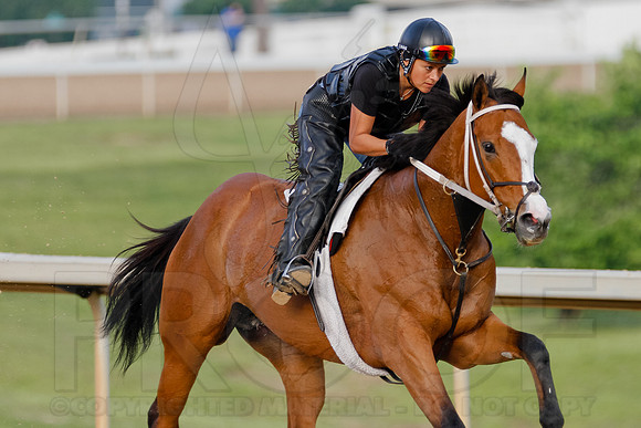 Morning Workouts (Arkansas Derby) 1