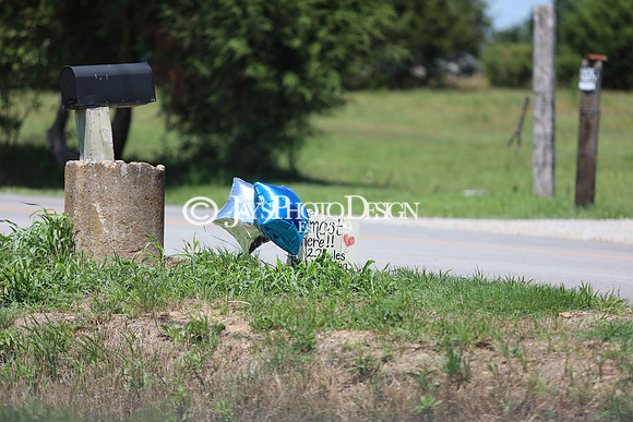Kaden & Tanner Ring_0020