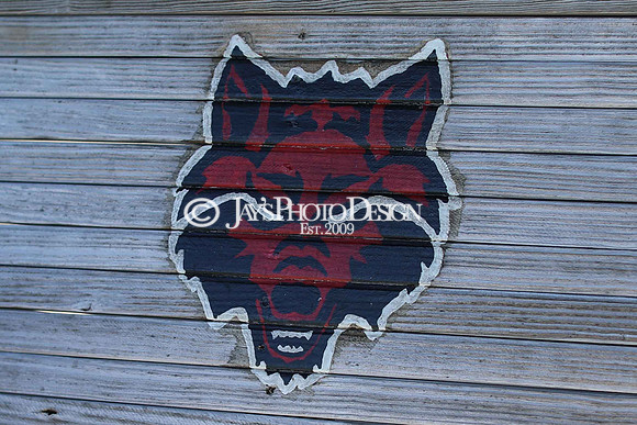 Kaden & Tanner Ring_0221