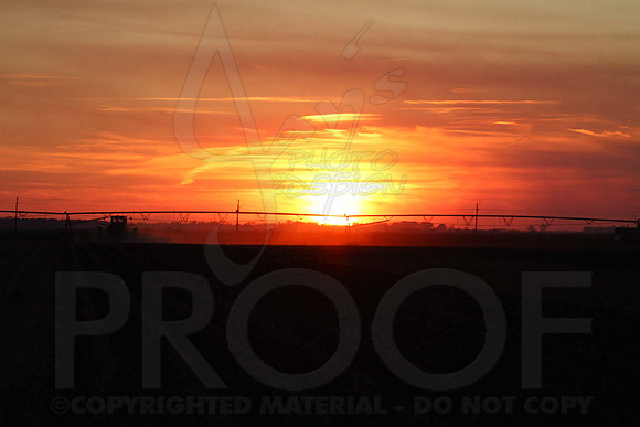 IMG_0044