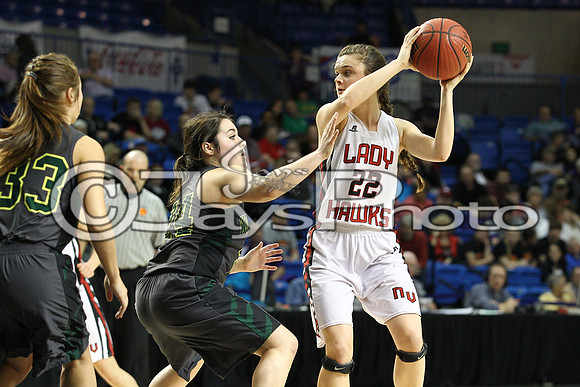 Nemo Vista vs. Wonderview 1A Girls State Finals 3-12-2015 (©Justin Manning) JWM_216