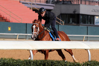 Apple Blossom Stakes Day 4-12-25_JWM_0012