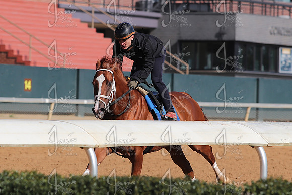 Apple Blossom Stakes Day 4-12-25_JWM_0012